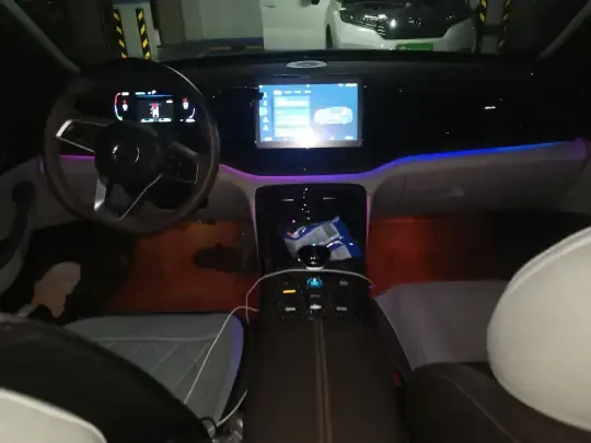 BYD Qin PLUS 2024 (25099 км)