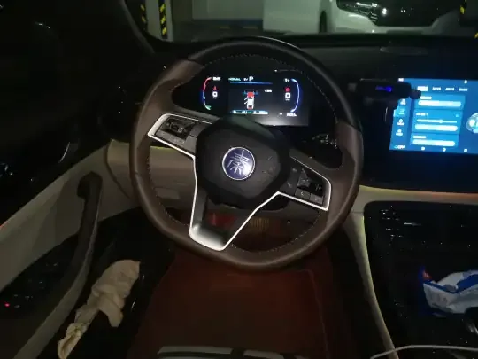 BYD Qin PLUS 2024 (25099 км)