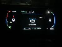 BYD Qin PLUS 2024 (25099 км)