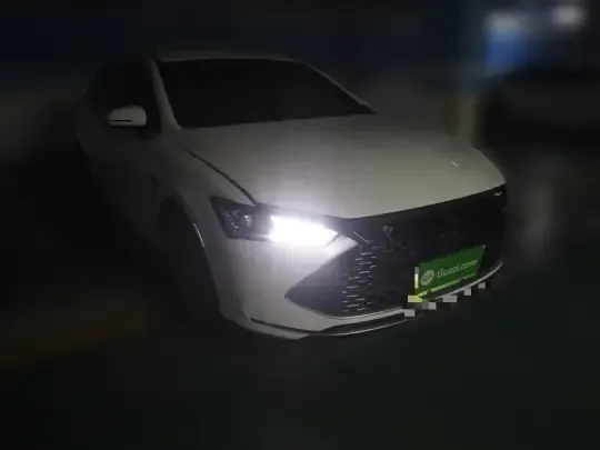 BYD Qin PLUS 2024 (25099 км)