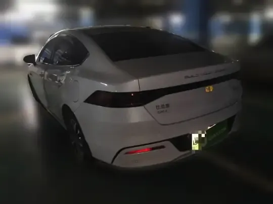 BYD Qin PLUS 2024 (25099 км)