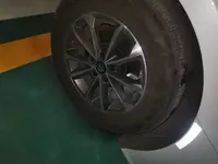 BYD Qin PLUS 2024 (25099 км)