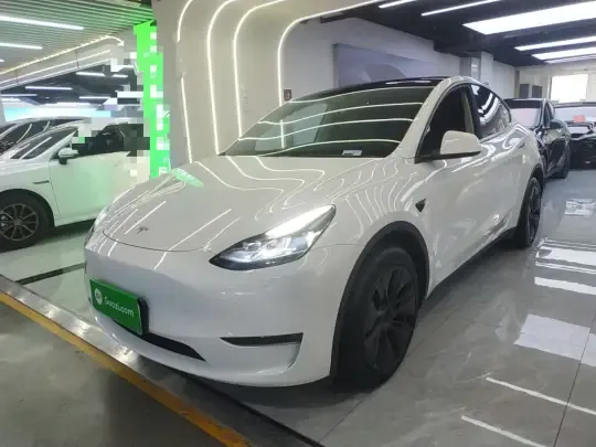 Tesla Model Y 2024 (68600 км)