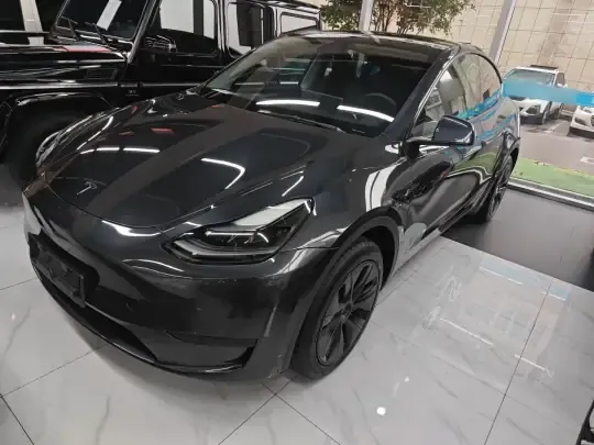 Tesla Model Y 2024 (300 км)