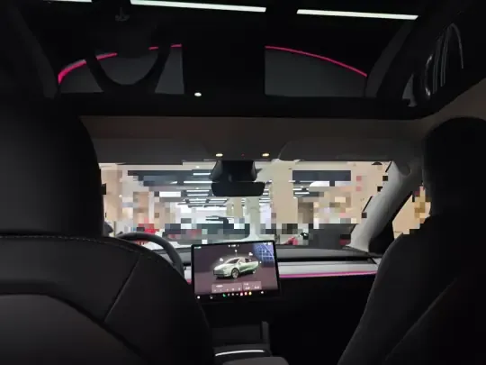 Tesla Model Y 2024 (300 км)