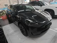 Tesla Model Y 2024 (300 км)