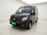 Foton Toano 2024 (29100 км)