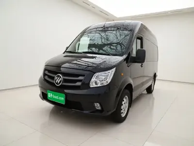 Foton Toano 2024 (29100 км)
