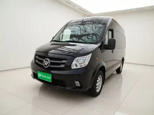 Foton Toano 2024 (29100 км)