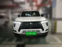 Lexus GX 2024 (19200 км)