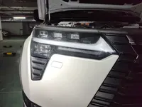 Lexus GX 2024 (19200 км)
