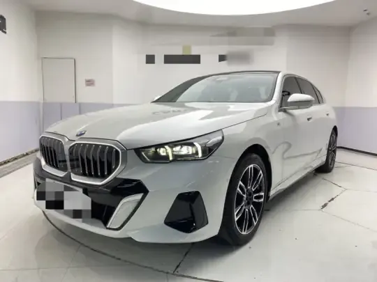 BMW 5 Series 2024 (16100 км)