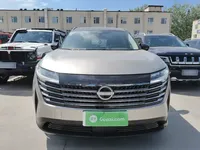 Nissan Pathfinder 2024 (7400 км)