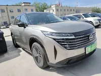 Nissan Pathfinder 2024 (7400 км)
