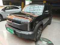 ICAR 03 2024 (36300 км)