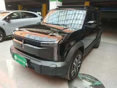 ICAR 03 2024 (36300 км)