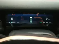 ICAR 03 2024 (36300 км)