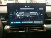 ICAR 03 2024 (36300 км)