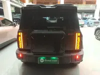 ICAR 03 2024 (36300 км)