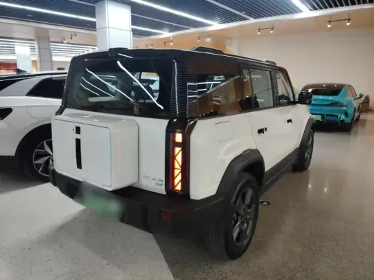 ICAR 03 2024 (25200 км)