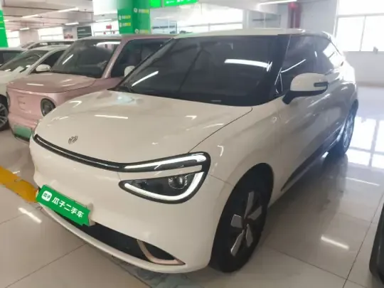 Dongfeng NAMMI 01 2024 (61900 км)