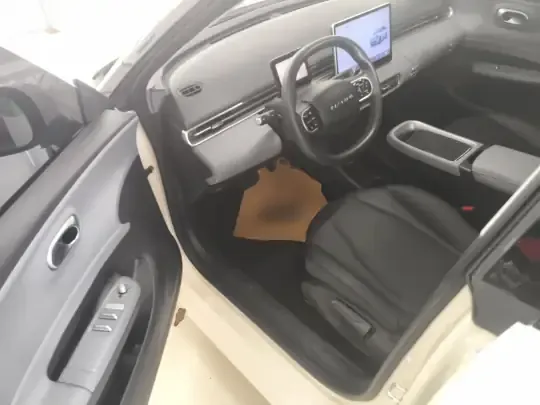 Dongfeng NAMMI 01 2024 (61900 км)