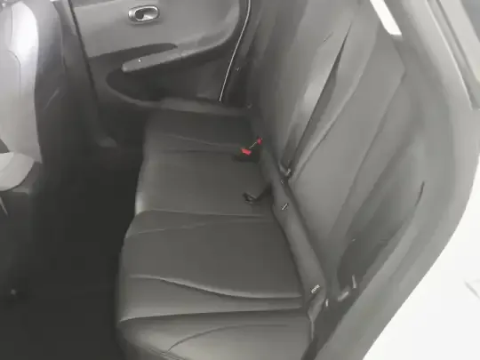 Dongfeng NAMMI 01 2024 (61900 км)