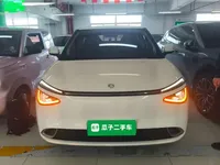 Dongfeng NAMMI 01 2024 (61900 км)