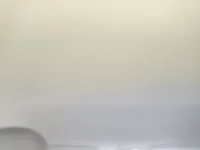 Dongfeng NAMMI 01 2024 (61900 км)