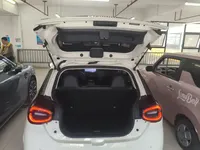Dongfeng NAMMI 01 2024 (61900 км)