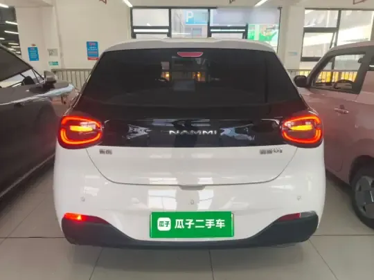 Dongfeng NAMMI 01 2024 (61900 км)