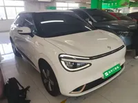 Dongfeng NAMMI 01 2024 (61900 км)
