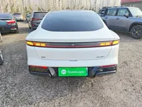 Dongfeng e? e?007 2024 (21200 км)