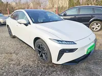 Dongfeng e? e?007 2024 (21200 км)