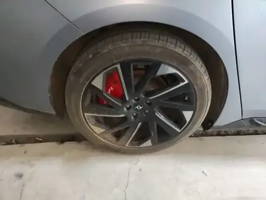 Dongfeng e? e?007 2024 (13700 км)