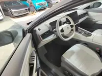 Dongfeng e? e?007 2024 (13700 км)