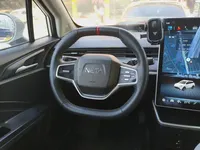 NETA AYA 2023 (82400 км)
