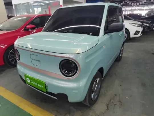 Geely Galaxy Panda 2024 (23400 км)