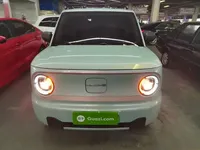Geely Galaxy Panda 2024 (23400 км)