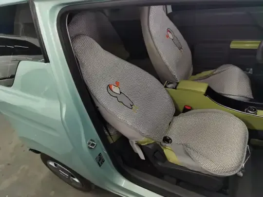 Geely Galaxy Panda 2024 (23400 км)