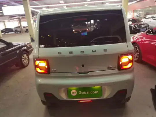 Geely Galaxy Panda 2024 (23400 км)