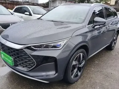 BYD Tang New Energy 2024 (125100 км)
