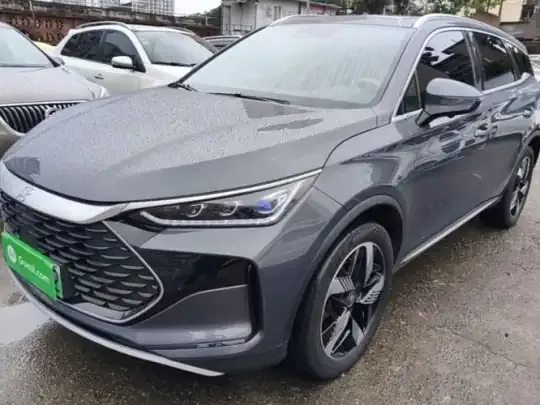 BYD Tang New Energy 2024 (125100 км)