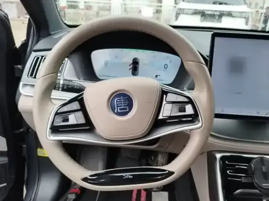 BYD Tang New Energy 2024 (125100 км)