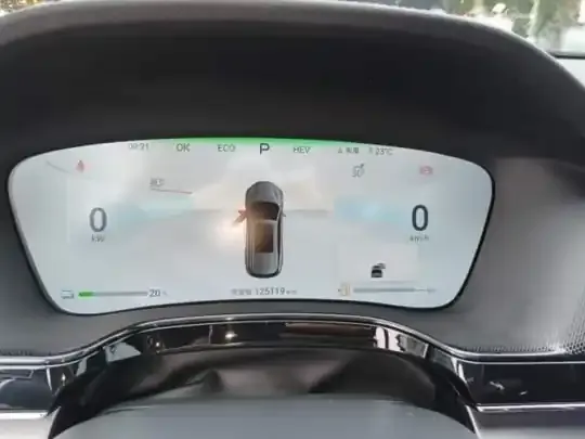 BYD Tang New Energy 2024 (125100 км)