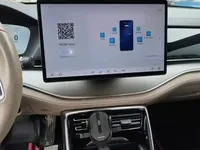BYD Tang New Energy 2024 (125100 км)
