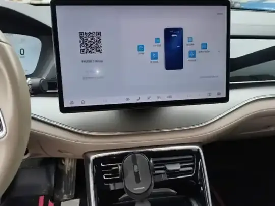 BYD Tang New Energy 2024 (125100 км)