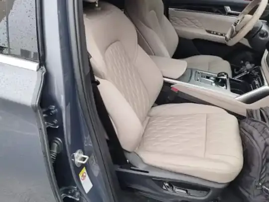 BYD Tang New Energy 2024 (125100 км)