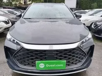 BYD Tang New Energy 2024 (125100 км)