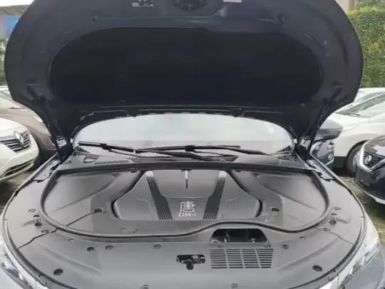 BYD Tang New Energy 2024 (125100 км)